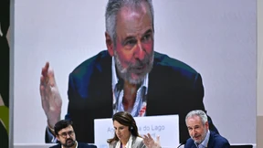 Die Spielarten des Leugnens