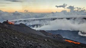 Mit Diven ist nicht zu spaßen