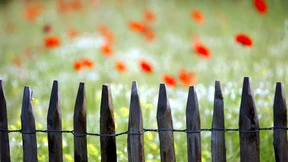 Hilfe für abgehängte Regionen