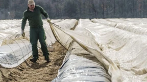 Bauern fürchten „Dumpingware“ aus dem Ausland