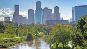 Die Kunst der Stadtverwaldung