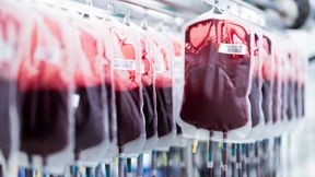 Neue Regeln für homosexuelle Männer in der Schweiz