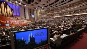 Der Gorilla mag es sanft