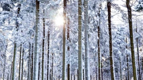 Karriere eines Fachbegriffs