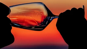 Wie eine App uns zu Weinkennern machen soll