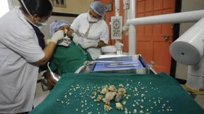 Ärzte entfernen Jugendlichem 232 Zähne