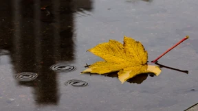 Es ist zu früh für Orkanwarnungen