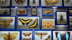 Ein Werk für die Ewigkeit