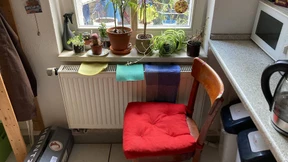 Eine Frauen-WG, Shirin David und der Feminismus