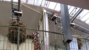 „Fläche ist nicht alles“