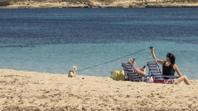 Reisen oder nicht reisen?