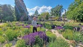 Lohnt es sich noch zu gießen?