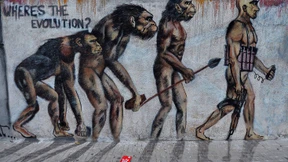 Die große Belohnung des Lebens 