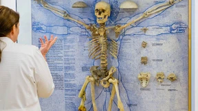 Bis auf  die Knochen