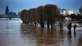 Kölner nehmen es gelassen