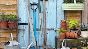 Blattläuse und Schnecken lesen keine Gartenbücher