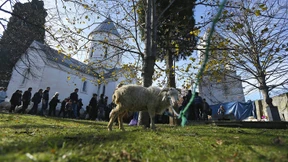 Exotische Aktien aus dem Buchmesseland