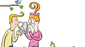 Die wilde Krautschau