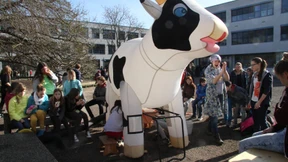 Bloß nicht feiern wie ein Lauch