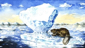 Unbegrenzte Ermächtigung?