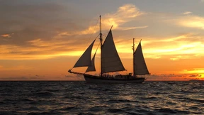 Vom Kriegskutter zum Umweltschiff