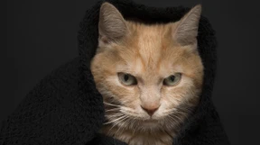 Sie können auch anders