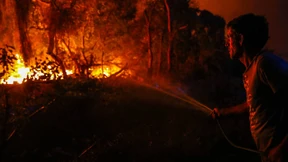 Kampf gegen Waldbrände dauert an