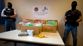 Kokain-Bananen sollten nach England