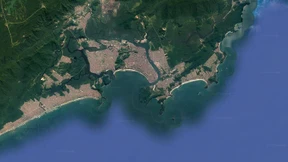 „Kokain hemmt die Fortpflanzung der Miesmuschel“