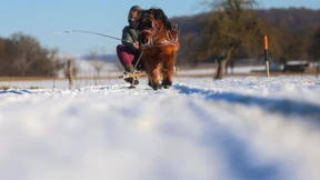 Hoch „Günther“ bestimmt weiter das Wetter in Deutschland