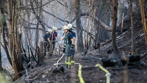 Die Suche nach den Ursachen beginnt