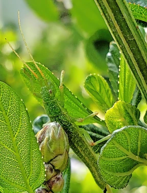 Erfolgreich ohne Sex