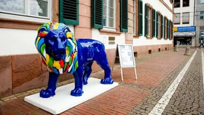 Wappentier am rechten Platz