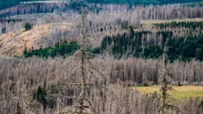 „Wir erleben Hitzeperioden, die wir erst in Jahrzehnten erwartet hätten“