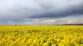 Schnee, subtropische Luft und bis zu 28 Grad