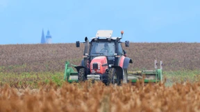 Die Ernte ist auch 2020 unterdurchschnittlich