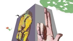 Der Gewinn sollte ehrlich sein