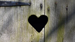 Was außer Klopapier noch wichtig ist