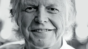 Ein Österreicher am Main