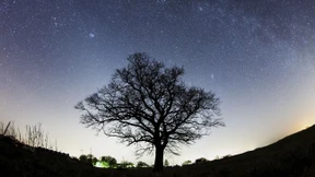 Summa cum laude in Sternzeichenkunde