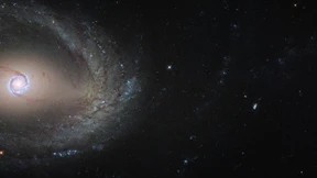 Kosmische Partner in gegenseitigem Bann