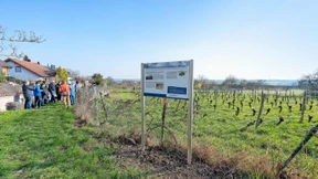 Sechs Tafeln informieren über Wein