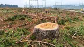 Der Trassen-Verlauf wird im Sommer konkret
