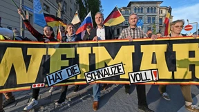 Was die AfD so stark macht