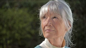 Lose und aufgelöste Verflechtungen