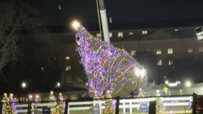 Wind wirft nationalen Weihnachtsbaum in Washington um