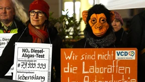 Tierversuche: Des Menschen Fortschritt ist des Tieres Leid