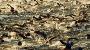 Ein Milliardär und der Kampf um den Ironman