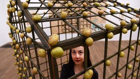 Ein Königreich für eine Wurst  