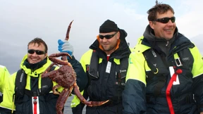 Ein Käfig  voller  Krabben